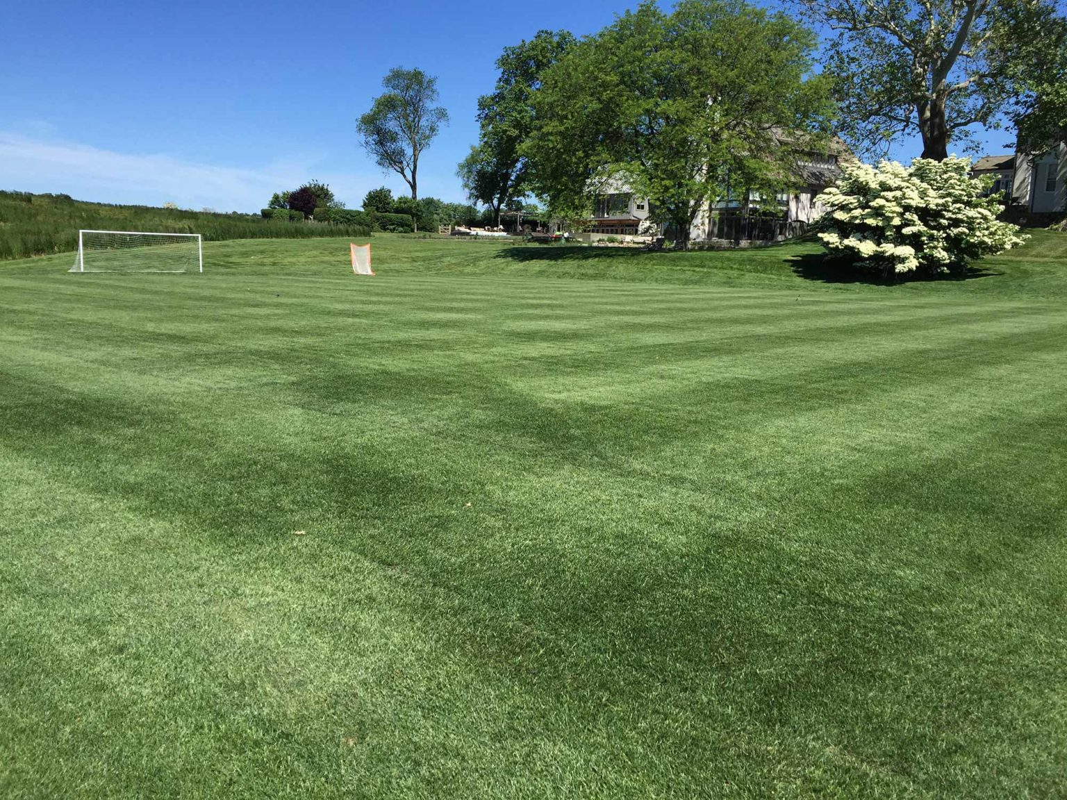 Private Soccer Field Construction Field Design Hummer Turfgrass