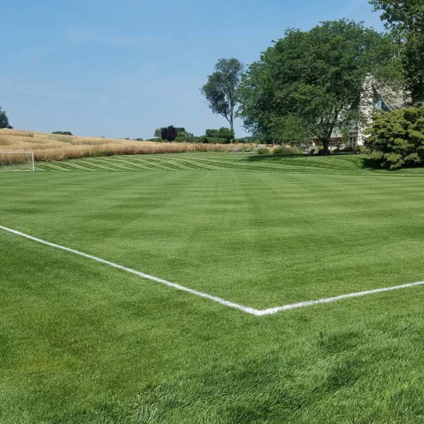 Private Soccer Field Renovation Overview
