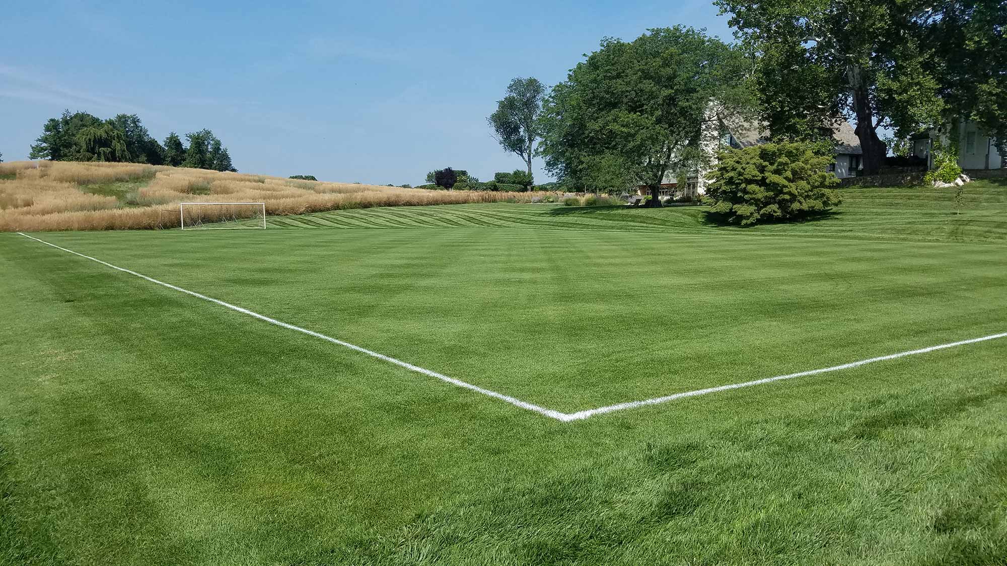 Private Soccer Field Renovation Overview
